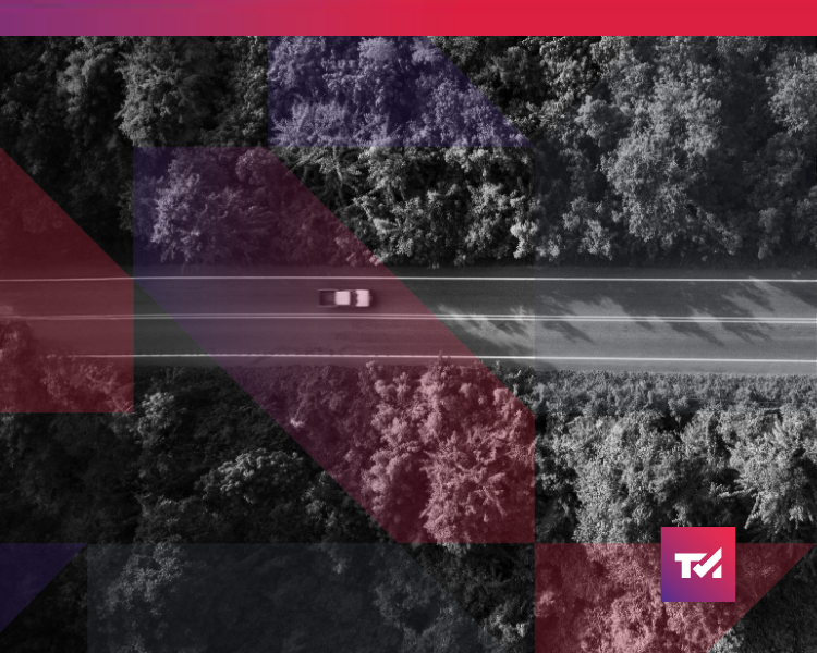 Foto Rodovias e meio ambiente: como evitar a judicialização?