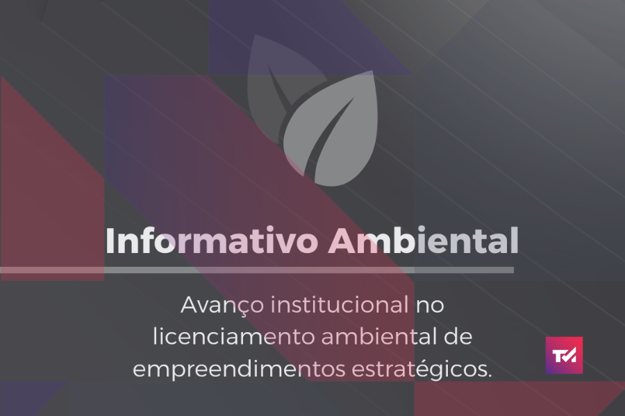 Foto Avanço institucional no licenciamento ambiental de empreendimentos estratégicos